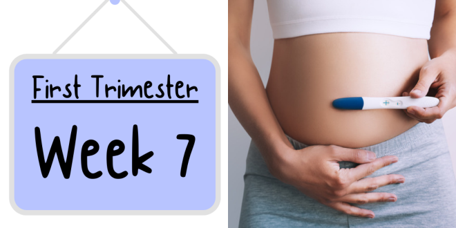 The third trimester pregnancy  Feelings and hormones - a:care Malaysia